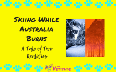 Skiing While Australia Burns: A Tale of Two Realities