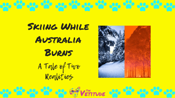 Skiing While Australia Burns: A Tale of Two Realities