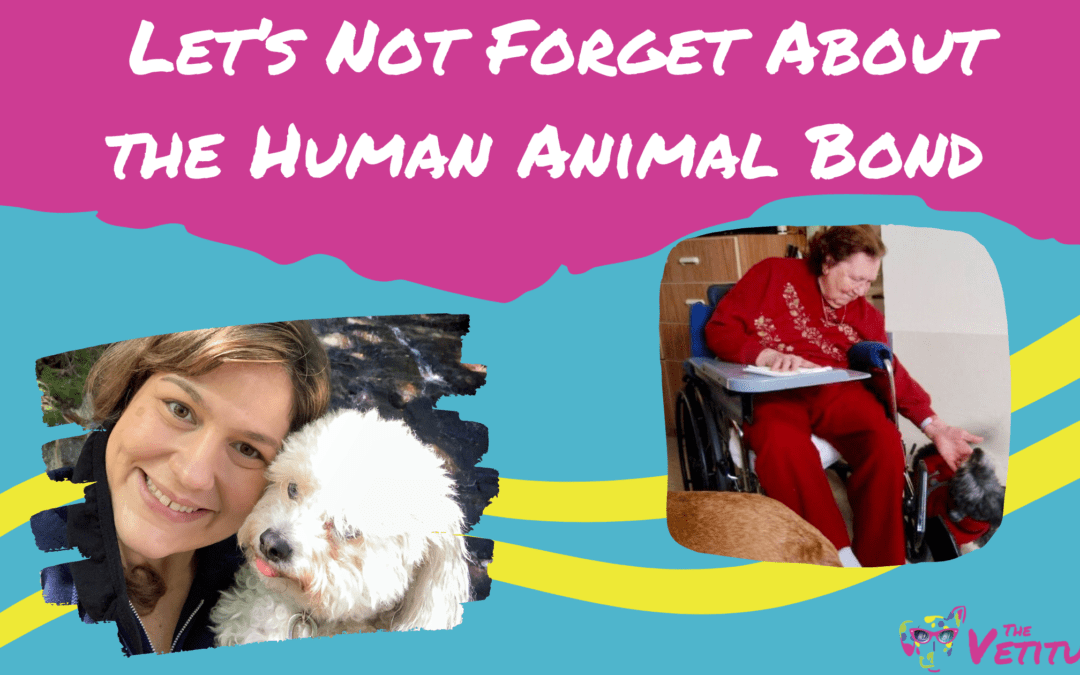 Let’s Not Forget About the Human Animal Bond